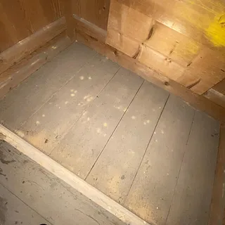 Holzwurm arbeitet hart und unerbittlich.