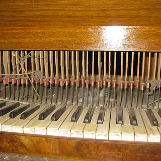 Marderspuren 2011